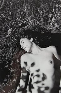 Image description is not available for 1984.006